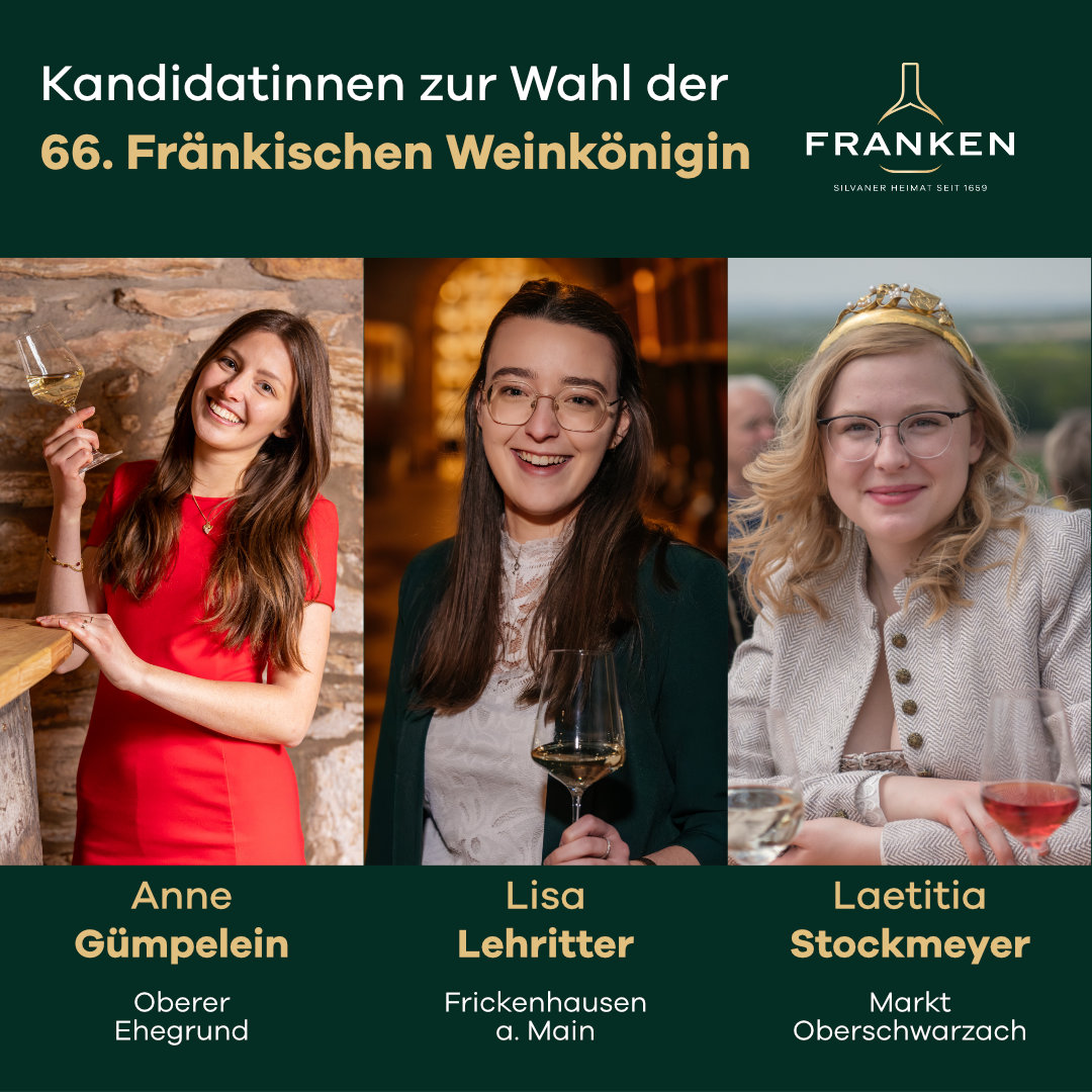 Drei Kandidatinnen zur Wahl der 66. Fränkischen Weinkönigin