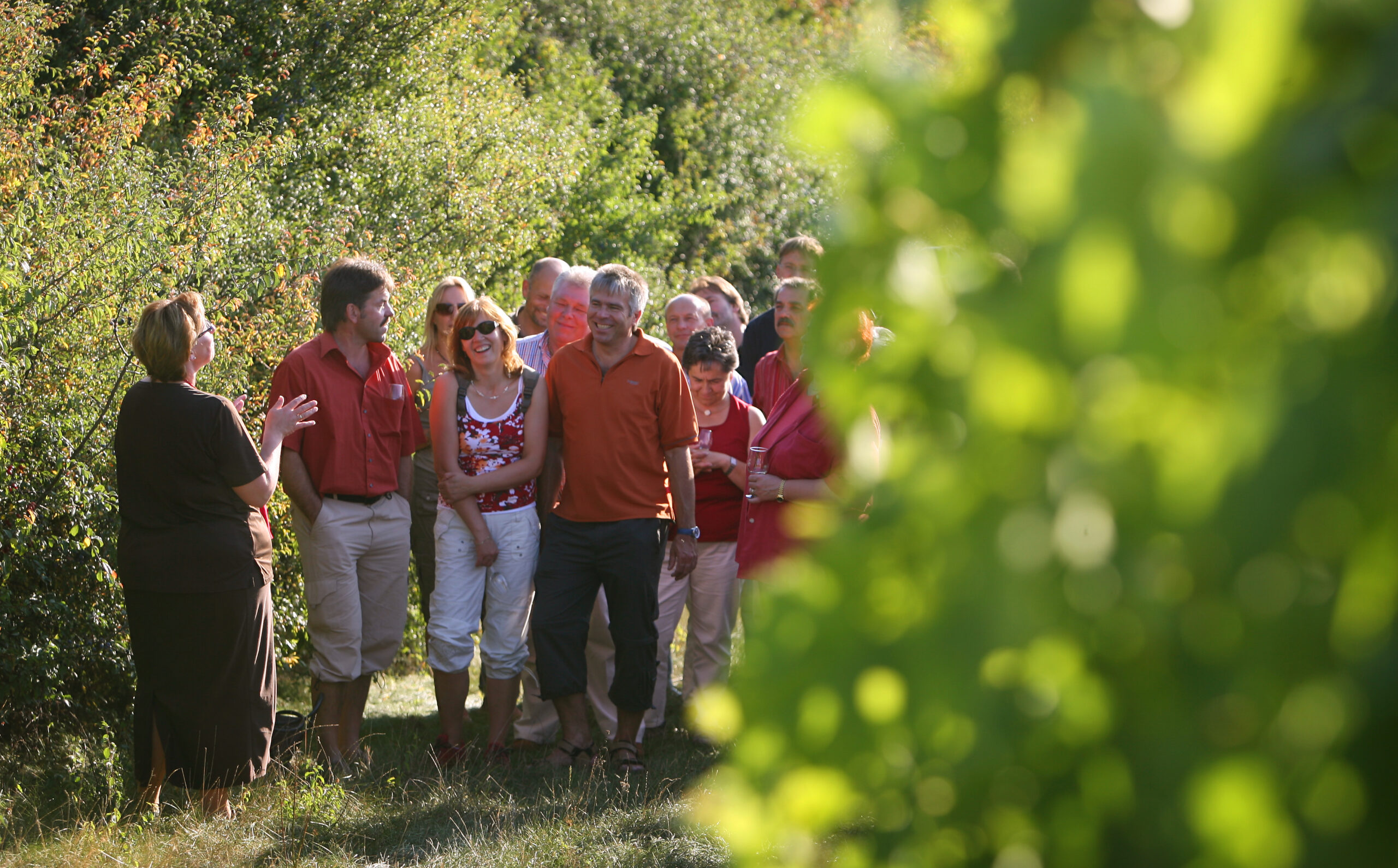 DWI-Weinwanderwochenende – Anmelden für Veranstaltungsübersicht