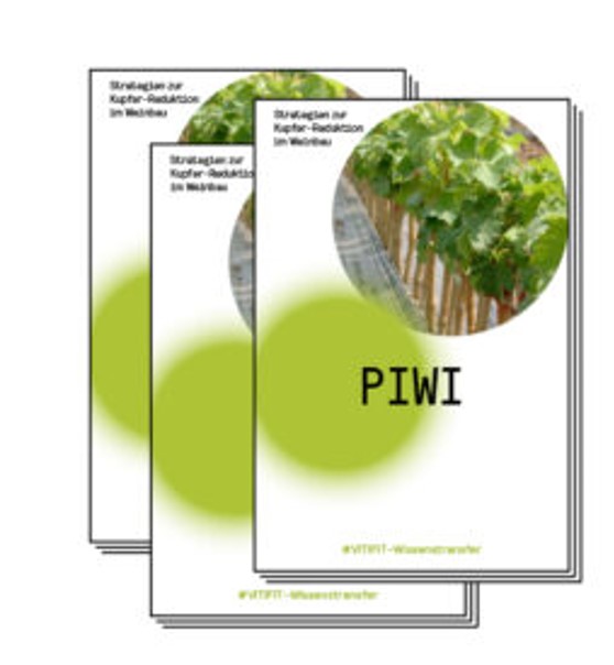 PIWI-Broschüre digital