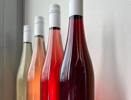 Alles Rot – Technikerklasse widmet sich der Vielfalt der roten Rebsorten