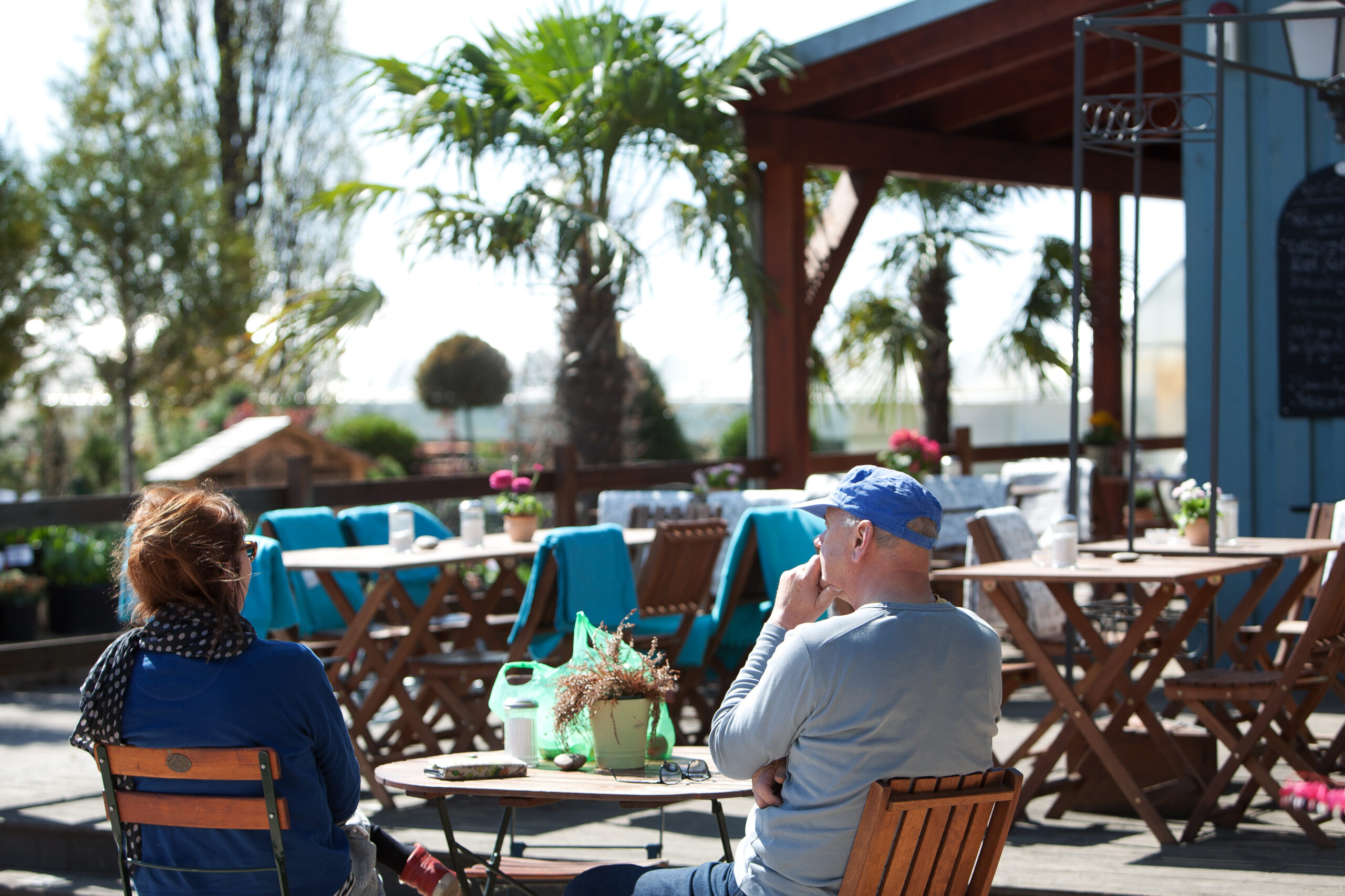 Späthsche Baumschulen suchen fränkische Winzer für Weinfeste und Weinevents