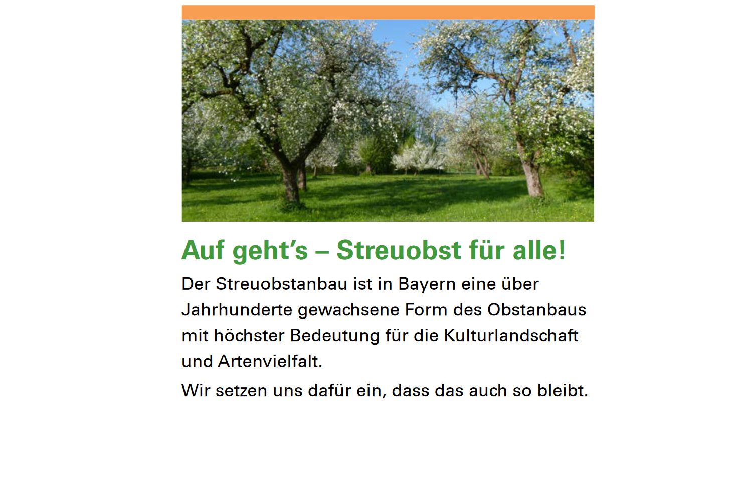 Förderprogramm „Streuobst für alle“
