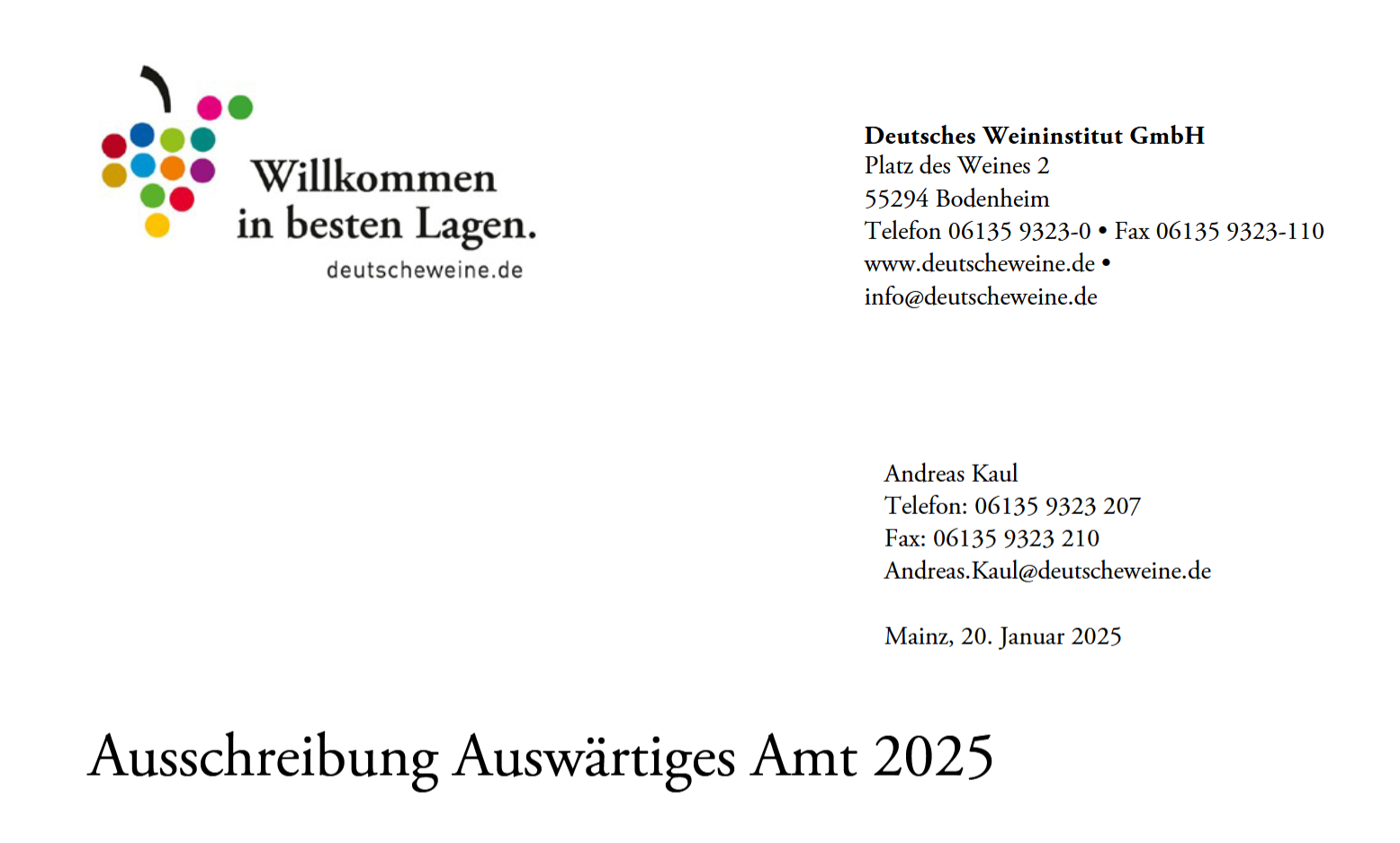 Ausschreibung Auswärtiges Amt 2025