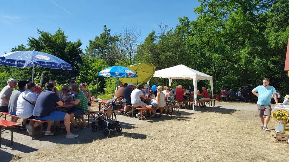 Weinbergswanderung Himmelstadt