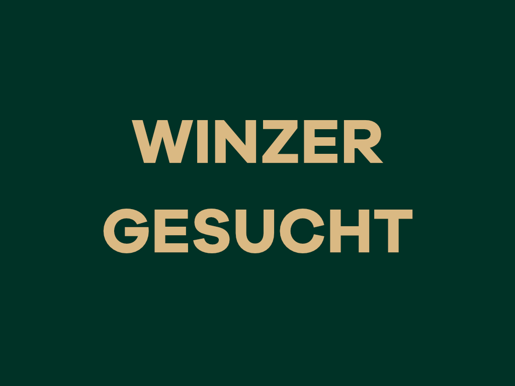 Fränkischer Winzer für 16. Visselhöveder Weinfest gesucht