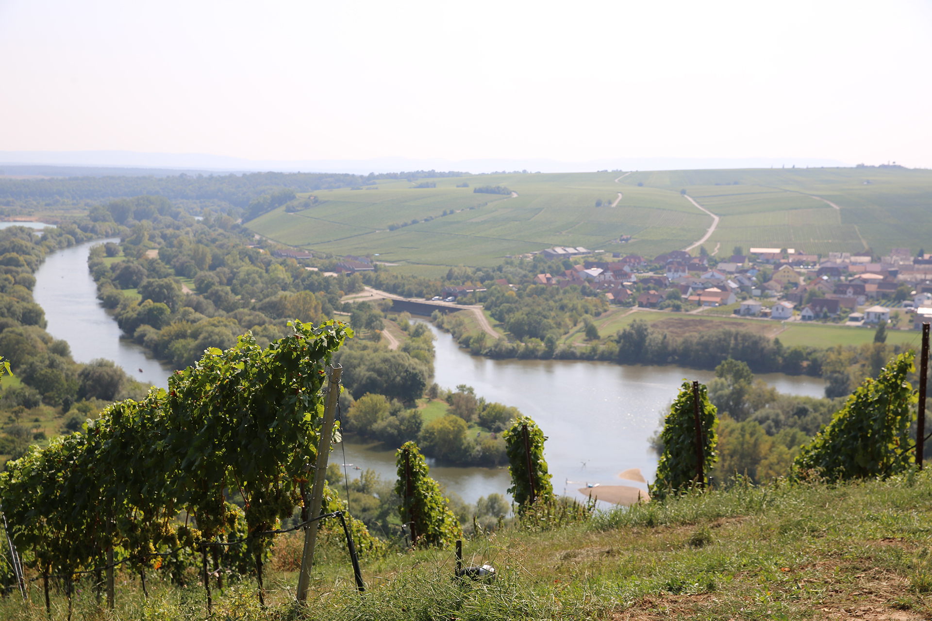 Neuer Studiengang „Kulinarik- und Weintourismus“ in Würzburg – Bewerbungszeitraum für das Wintersemester gestartet