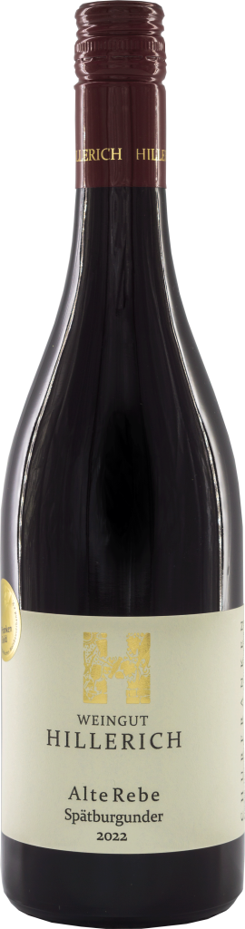 hillerich 2022 spätburdunder