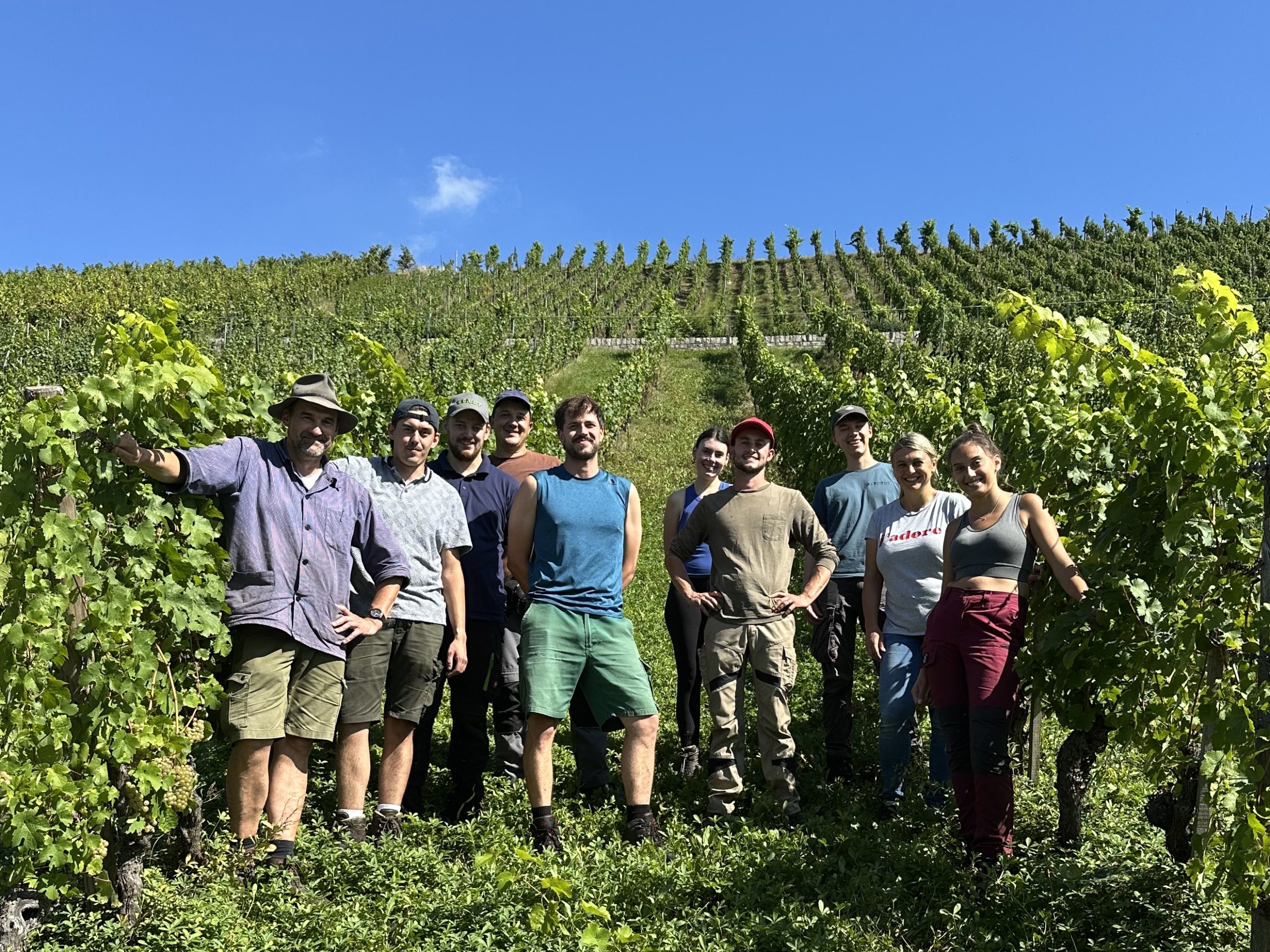 Der beste deutsche Rieslingsekt kommt aus Sommerhausen