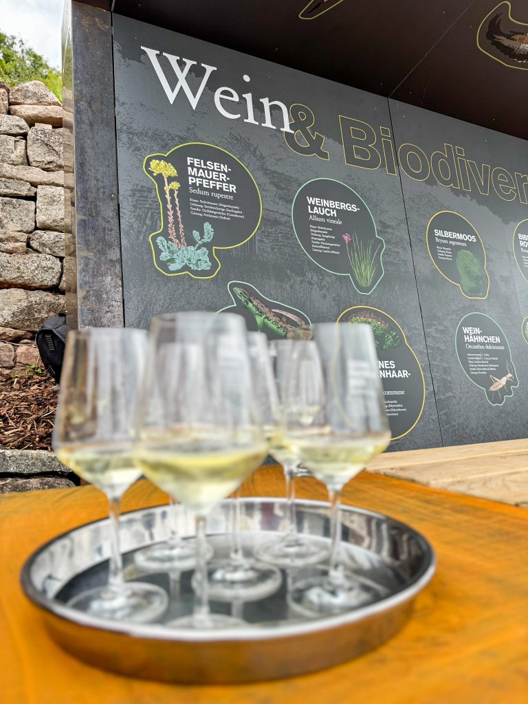 adw terroir f einweihung 01.09.2025 33