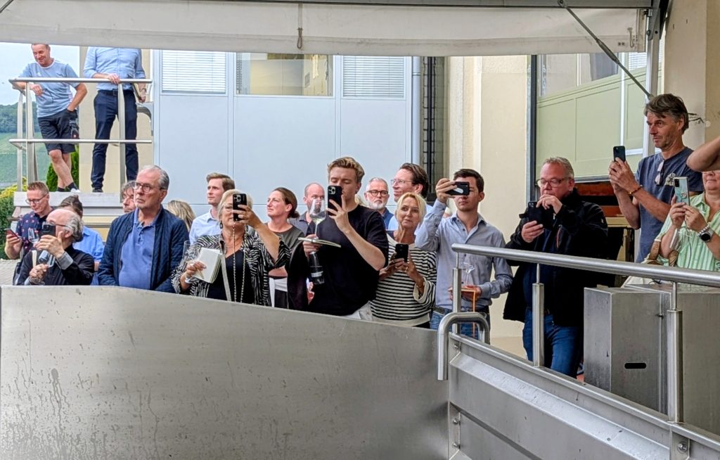 franken silvanerheimat divino nordheim schäffer escherndorf september 2025 pics göpfert (5)