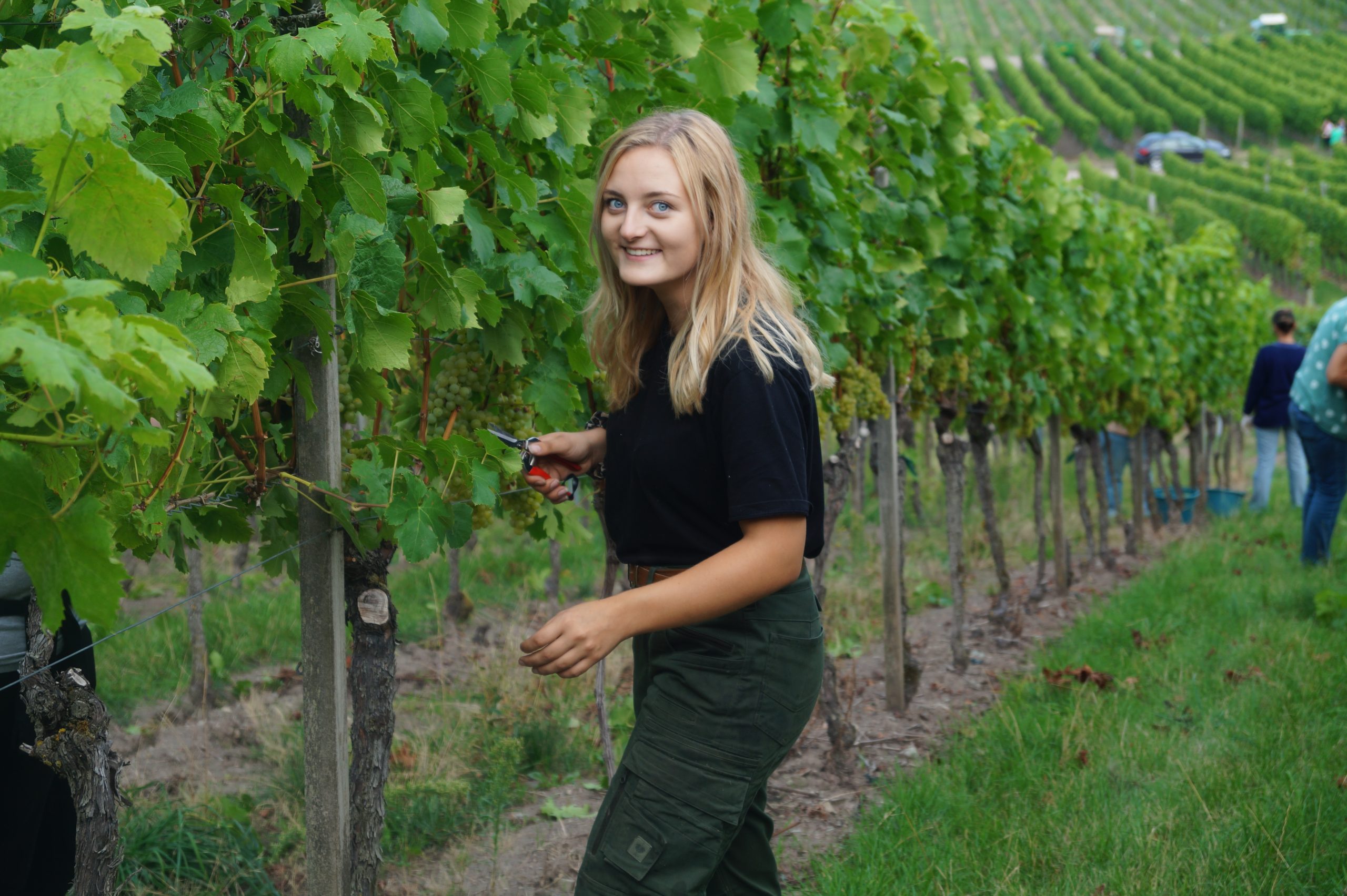 Neue Mitarbeiterin im Haus des Frankenweins