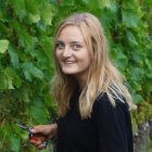 linda keller fränkischer weinbauverband