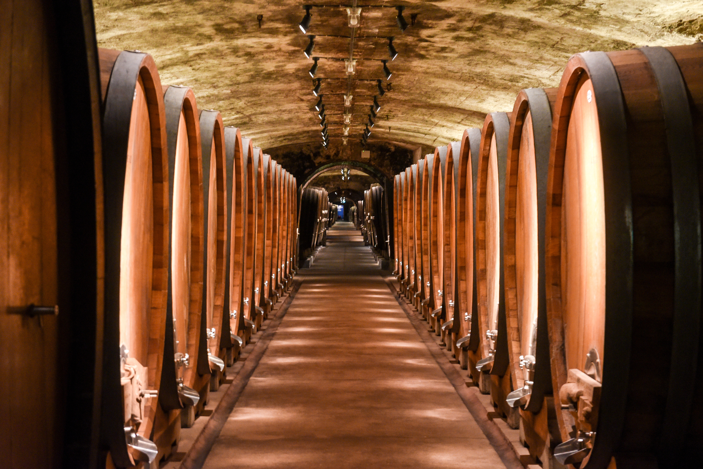 450 Jahre Stiftung Juliusspital Würzburg