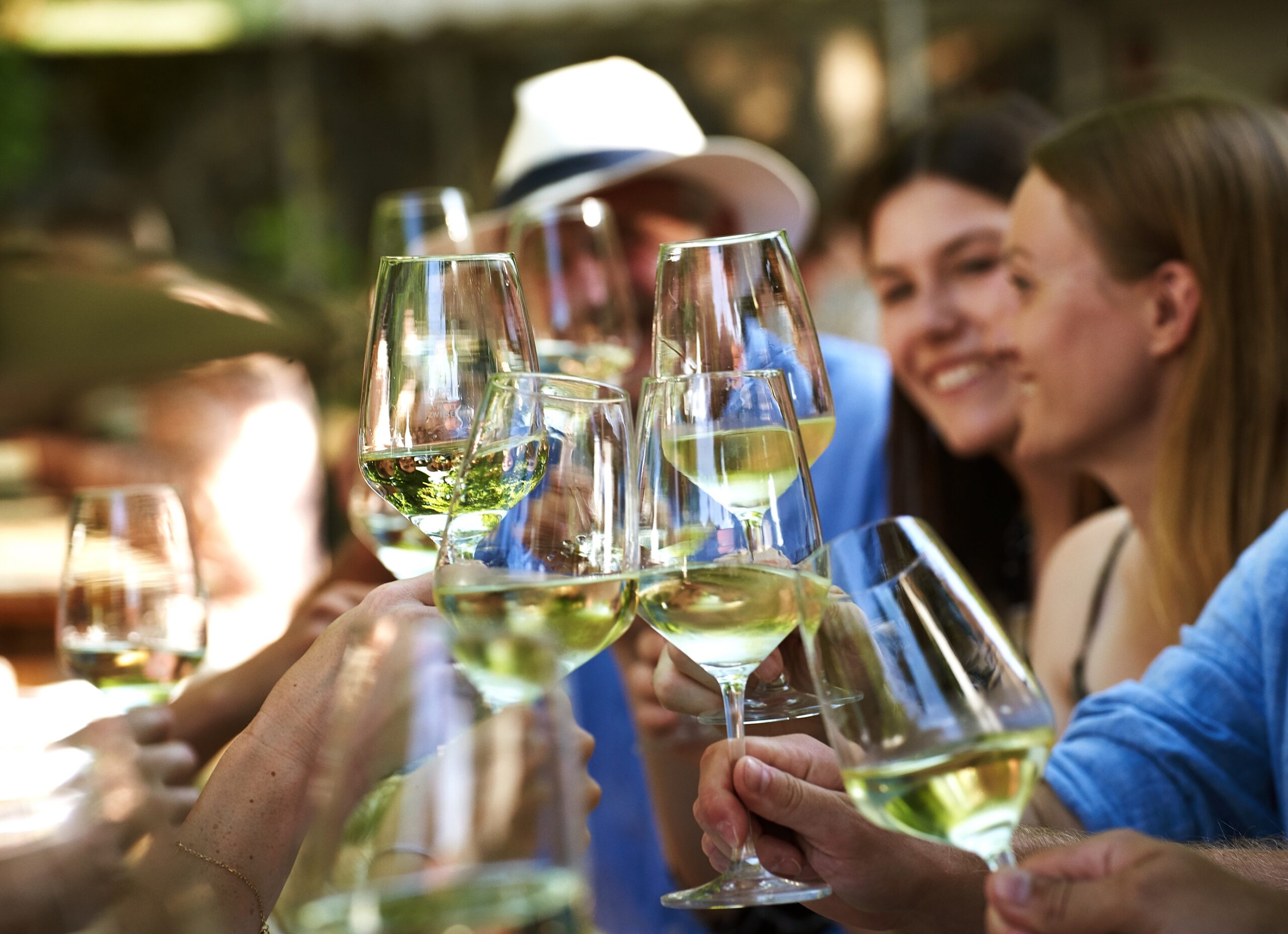 11 weinfest hardy müller