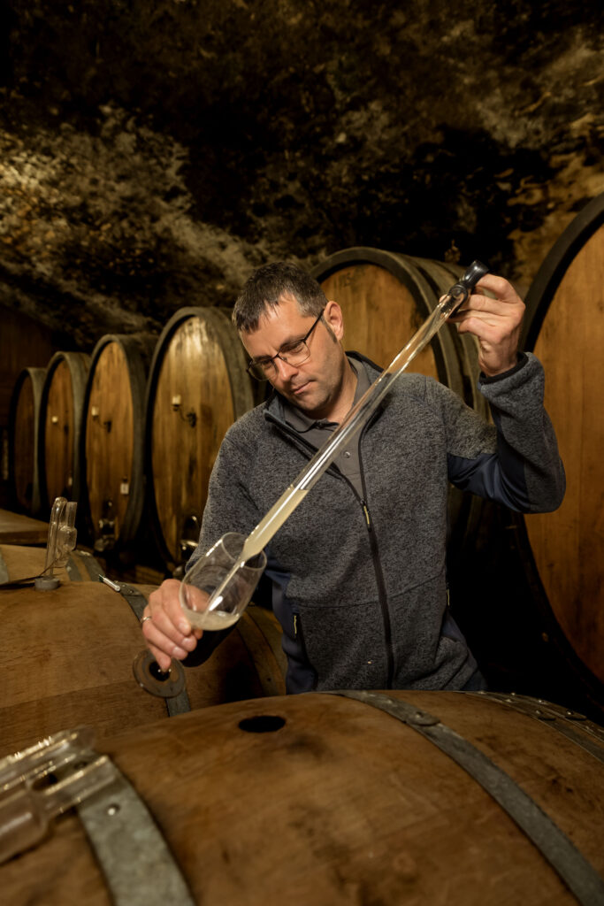 sb 8464 stefan bausewein