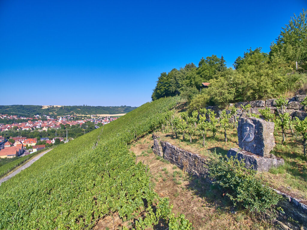 fra steinbach sommerhausen el 08 byvdp