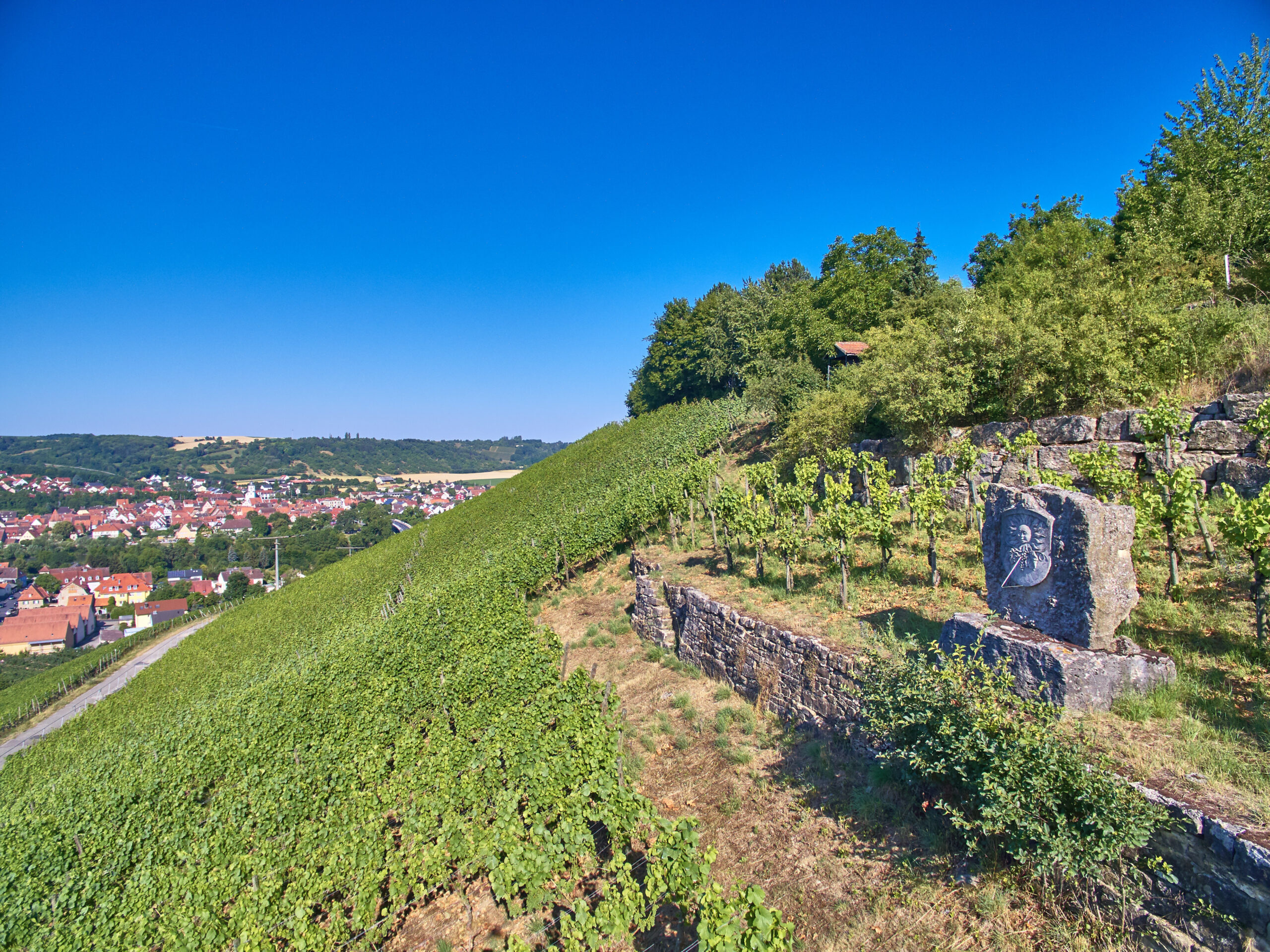 fra steinbach sommerhausen el 08 byvdp