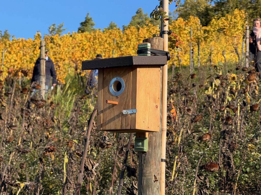 Beispiele für Biodiversität in den fränkischen Weinbergen. Fotos: Dr. Hermann Kolesch
