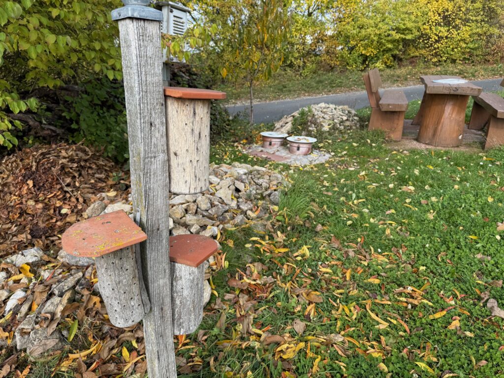 Beispiele für Biodiversität in den fränkischen Weinbergen. Fotos: Dr. Hermann Kolesch