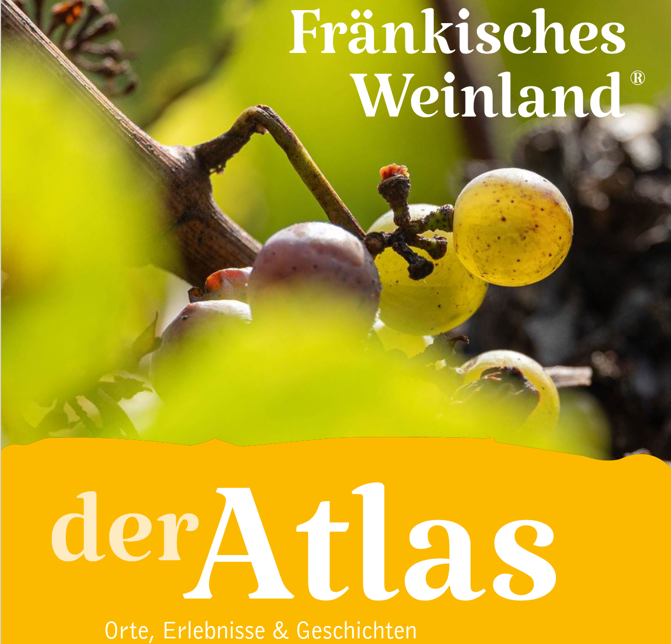 Beteiligung Fränkisches Weinland | ATLAS 2027