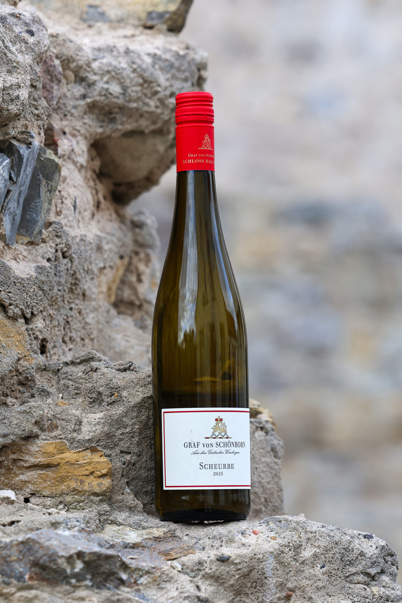 best of franken 2026 siegerwein 0001