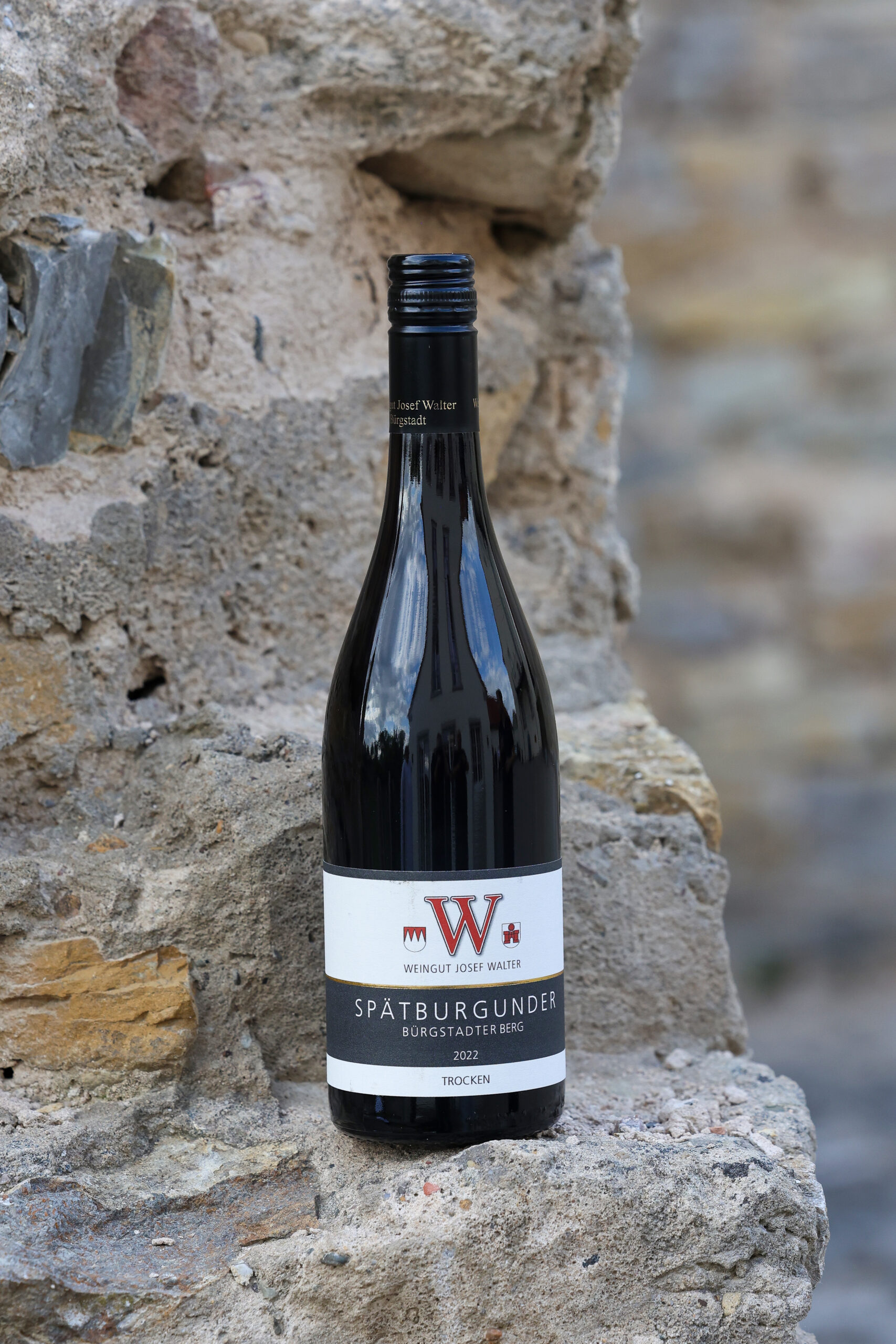 best of franken 2026 siegerwein 0005