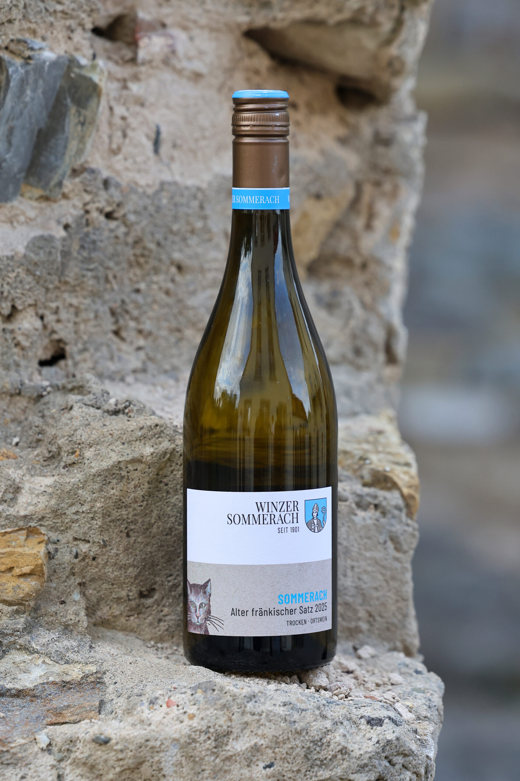 best of franken 2026 siegerwein 0011