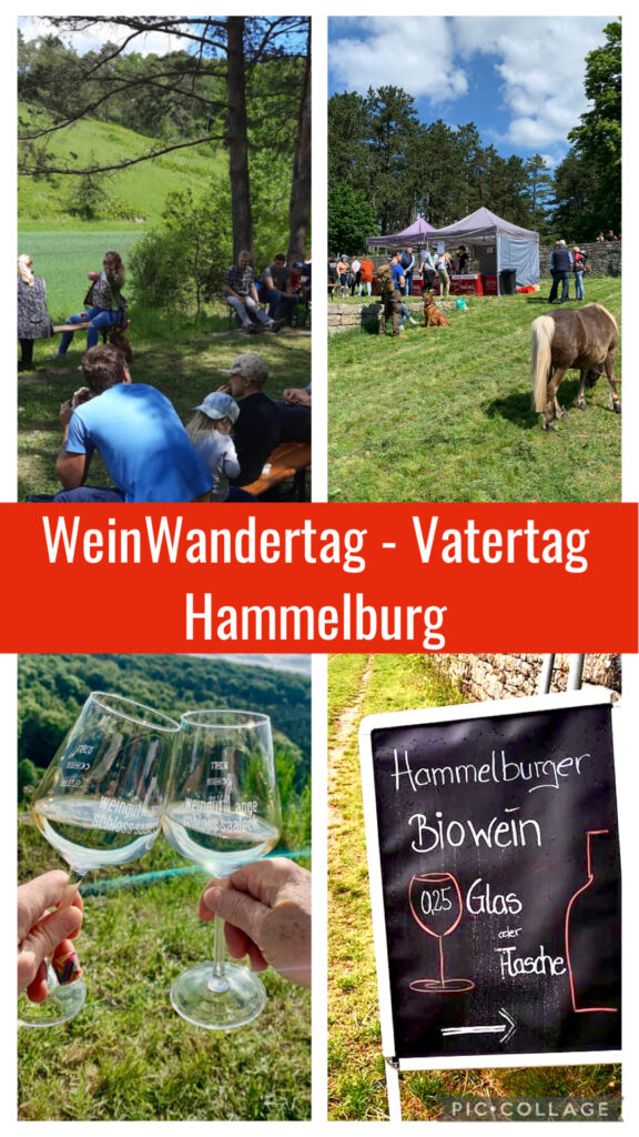 06.05.27 weinwandertag