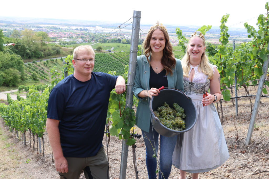 franken weinleseeröffnung rudimerkl 0086