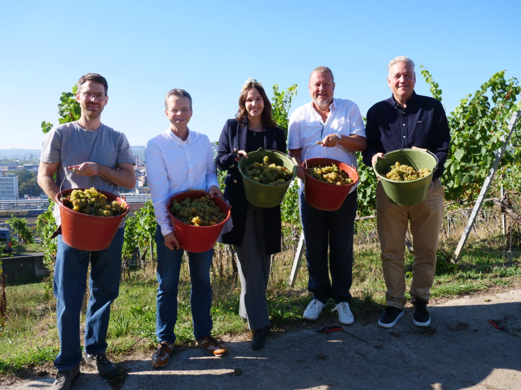 Nach der Lese der letzten Trauben für den UniWein (von links): Stefan Schäfer, technischer Leiter beim Staatlichen Hofkeller, Thorsten Stegh von der Uni GmbH, die fränkische Weinkönigin Angelina Seiler, Uni-Vizekanzler Klaus Baumann und Weingutsdirektor Thilo Heuft. (Bild: Robert Emmerich / Universität Würzburg)