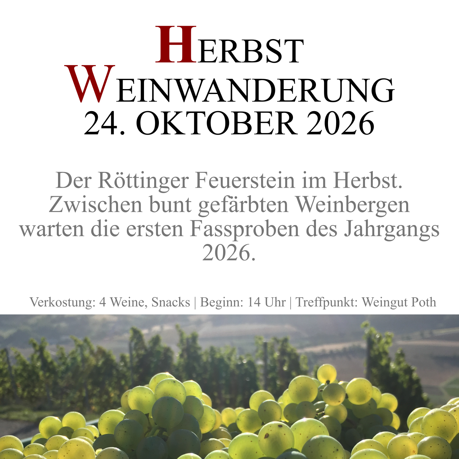 social media flyer herbstweinwanderung