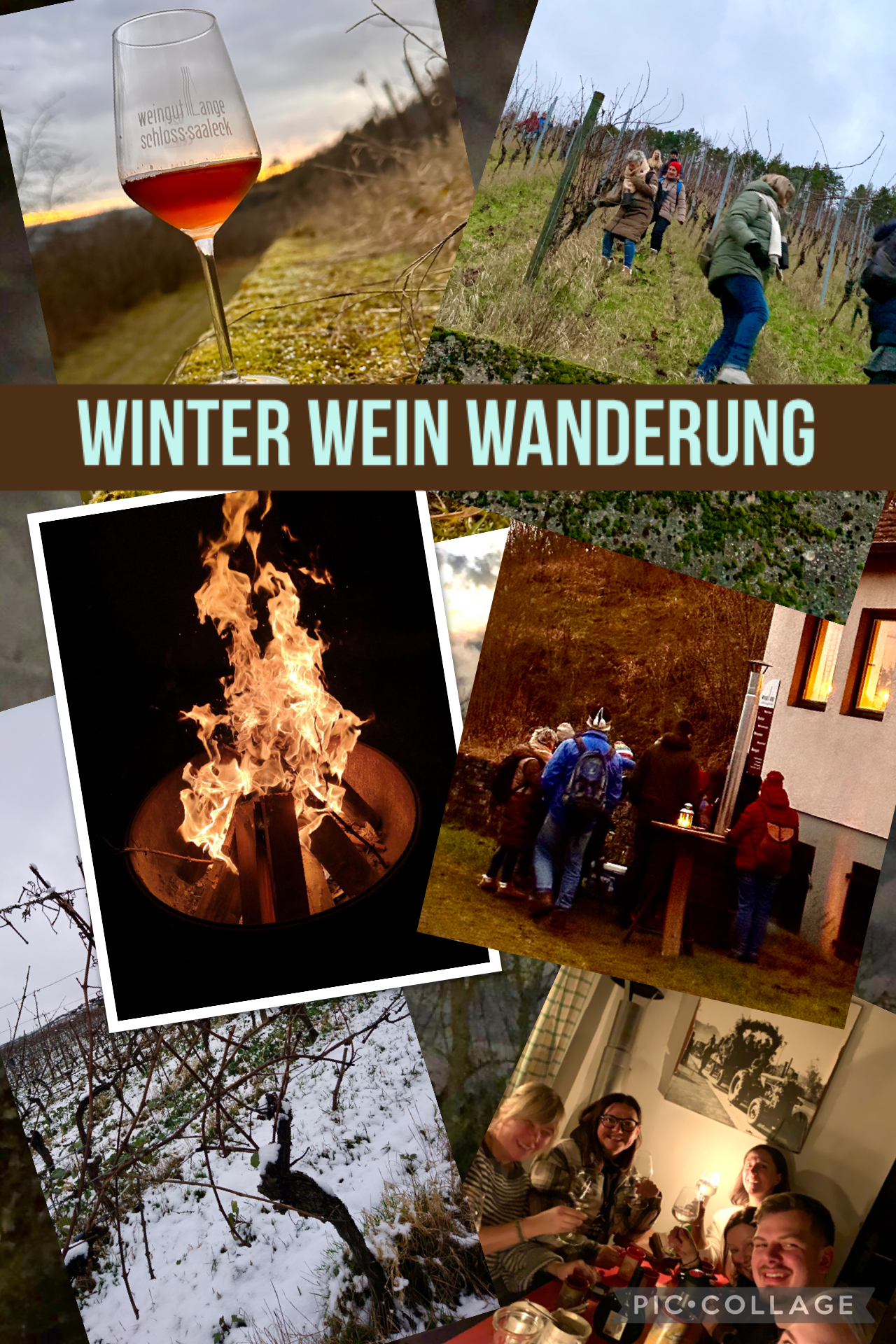 winterweinwanderung collage