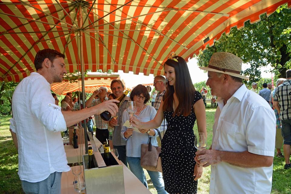 FÖW-Weinverkostung an der Vogelsburg