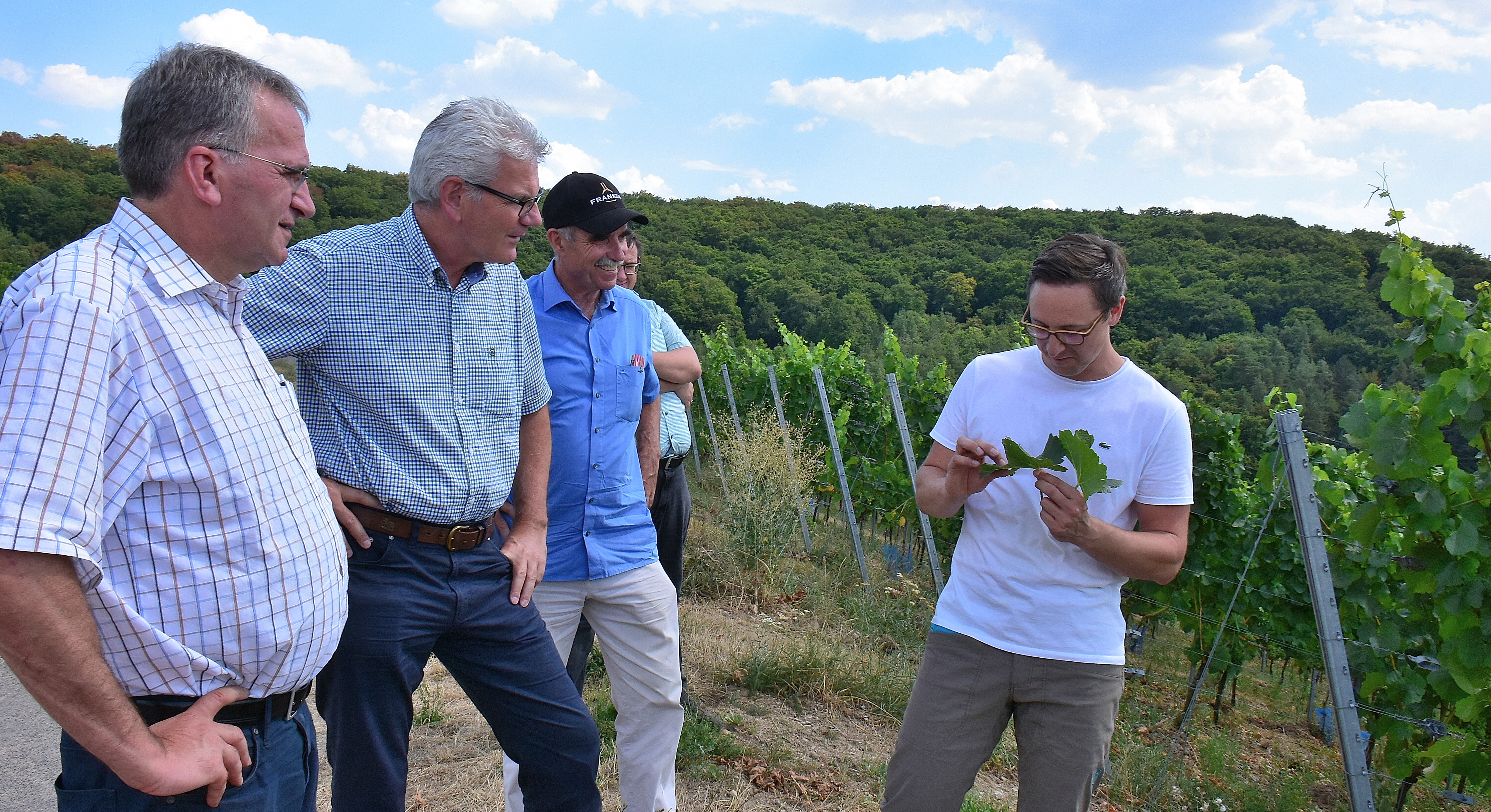 Bewässerung, Biodiversität und Frankens geschützte Ursprungsbezeichnung
