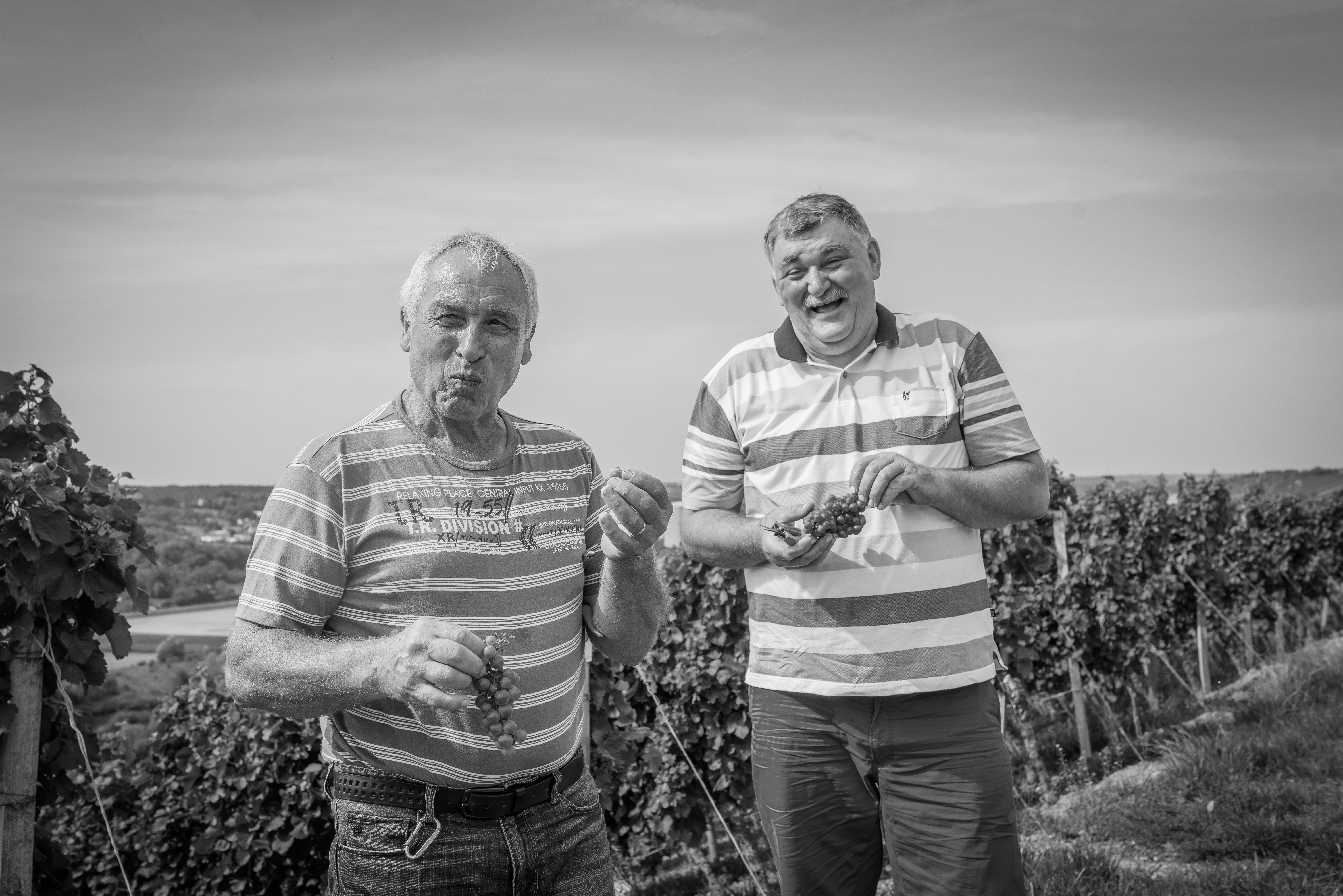 Wir sind – echt fränkisch.