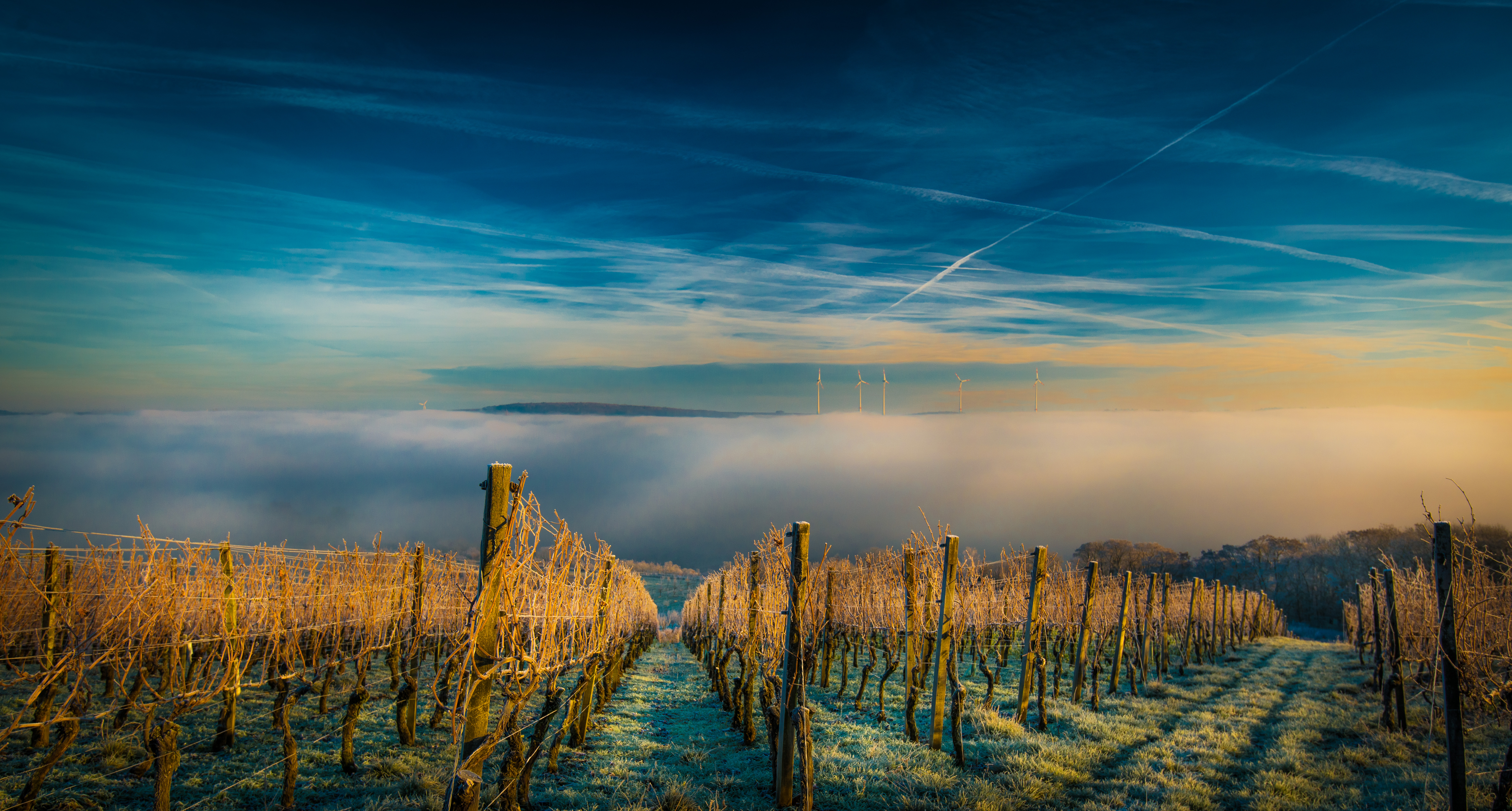 Wir haben – PASSION FÜR PERFEKTION