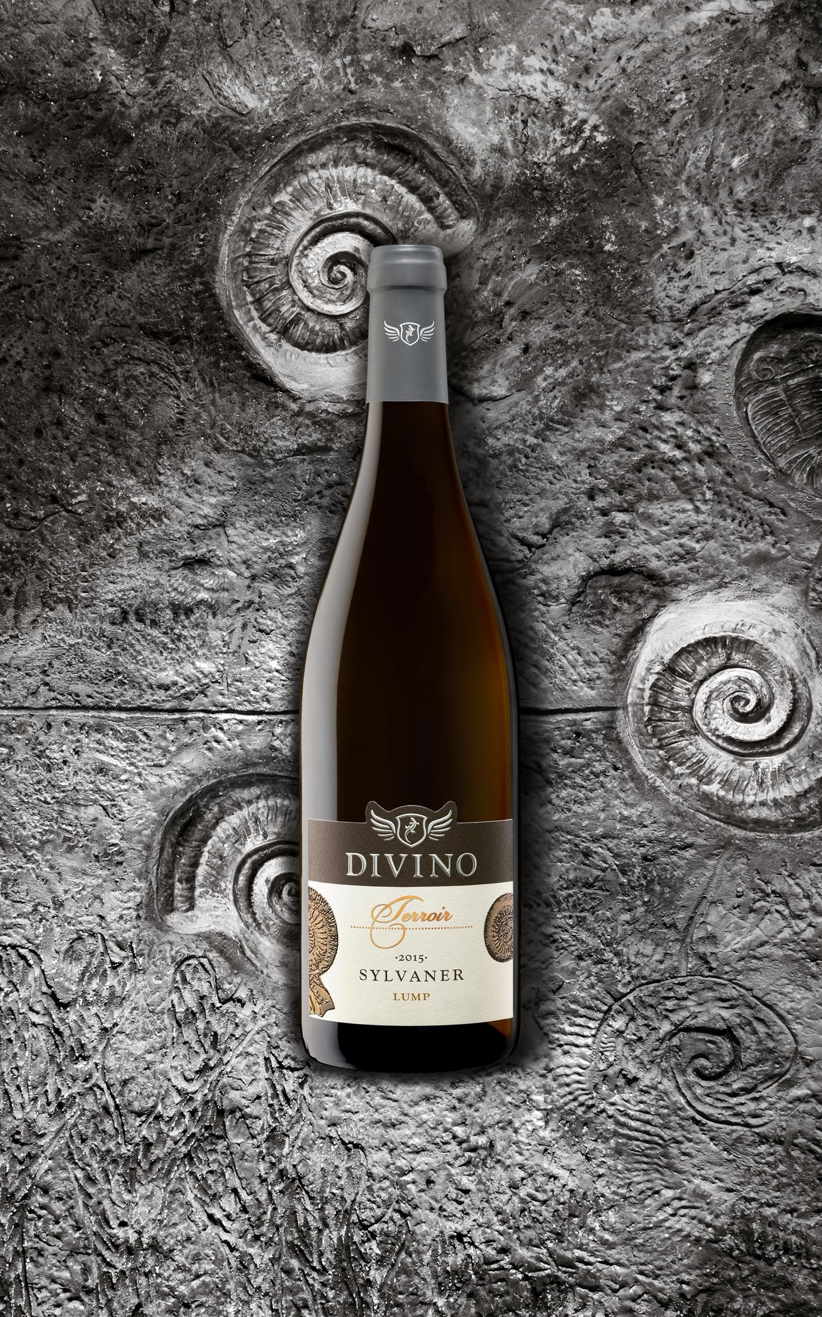 DIVINO Terroir – fünf Rebsorten aus besten fränkischen Lagen.