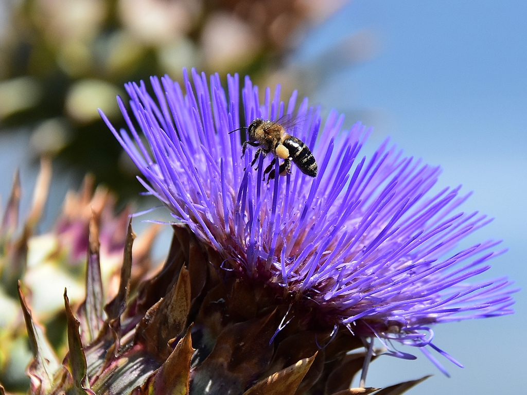 Tag der offenen Tür bei der LWG am 7. Juli 2019