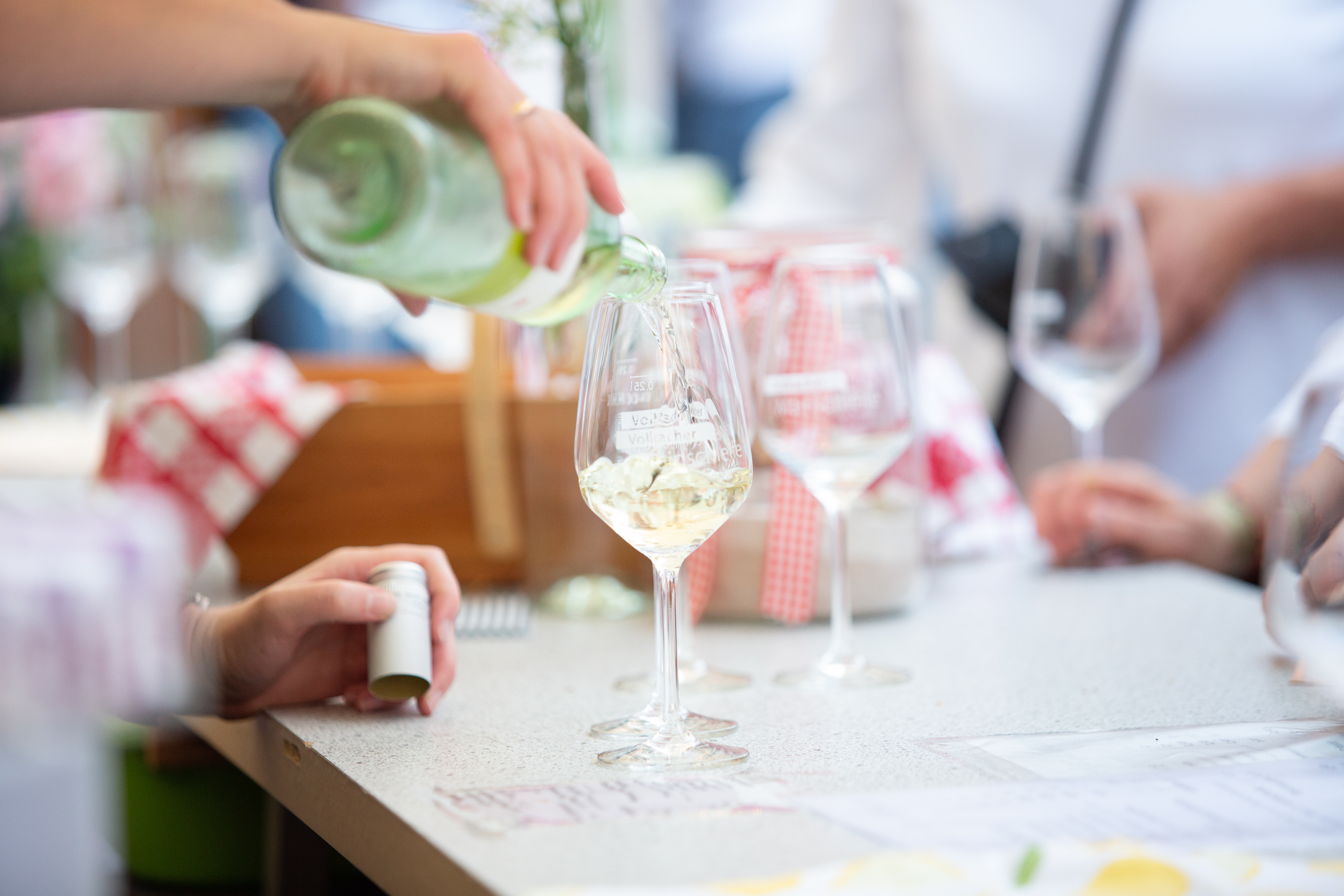 Winzer laden zur „Silvaner-Nachtschwärmerei“ nach Sommerach