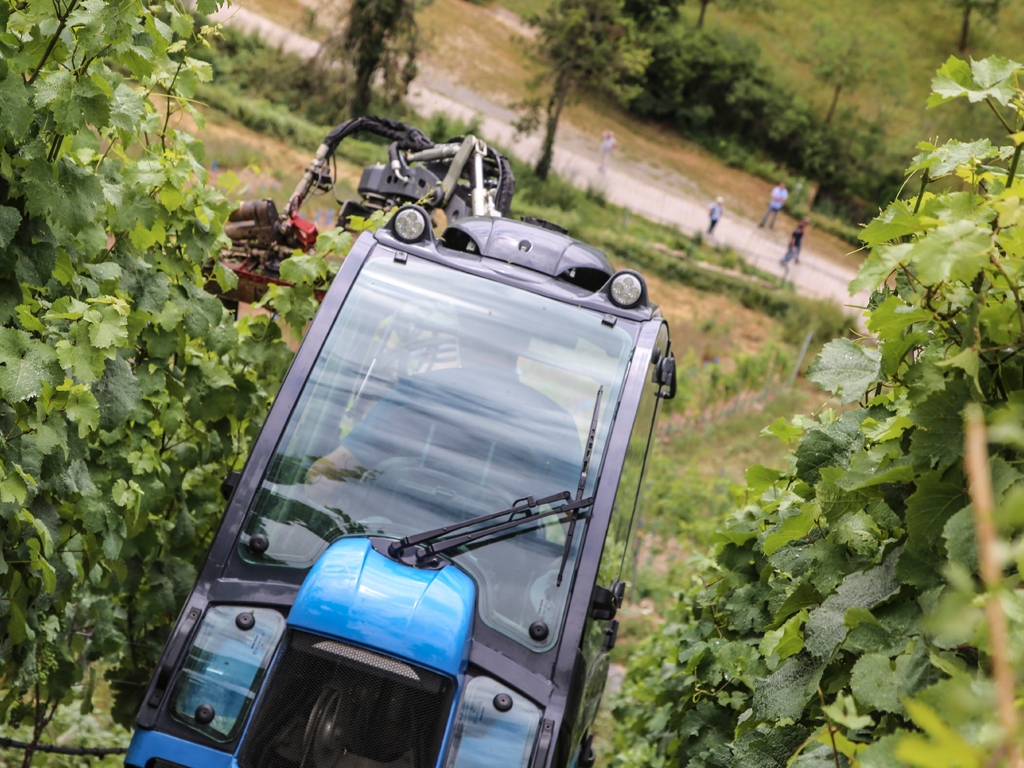 Forschung verstehen & Wissen nutzen! Tag der offenen Tür bei der LWG