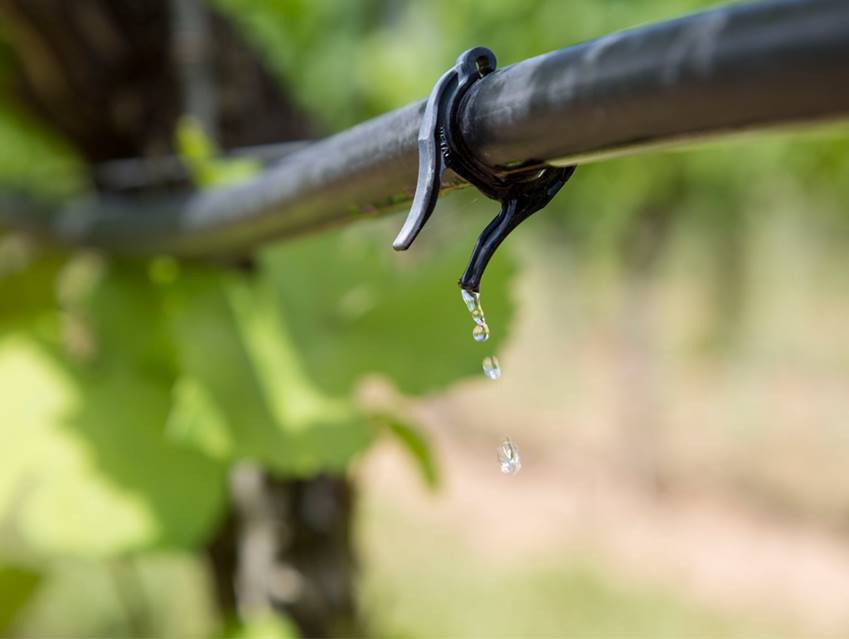 Neues Bewässerungsforum Bayern gestartet