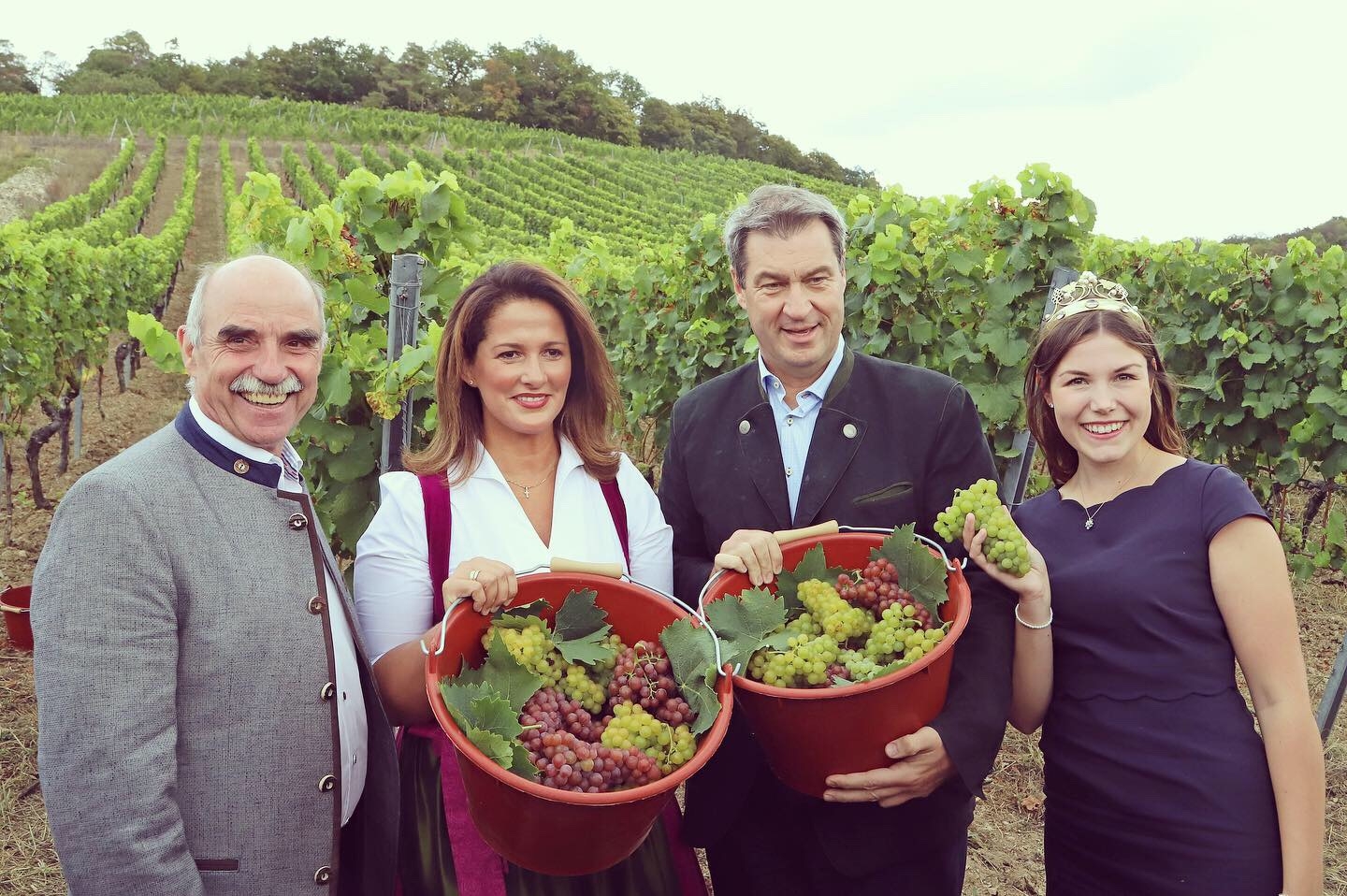 Start in die Weinlese 2019