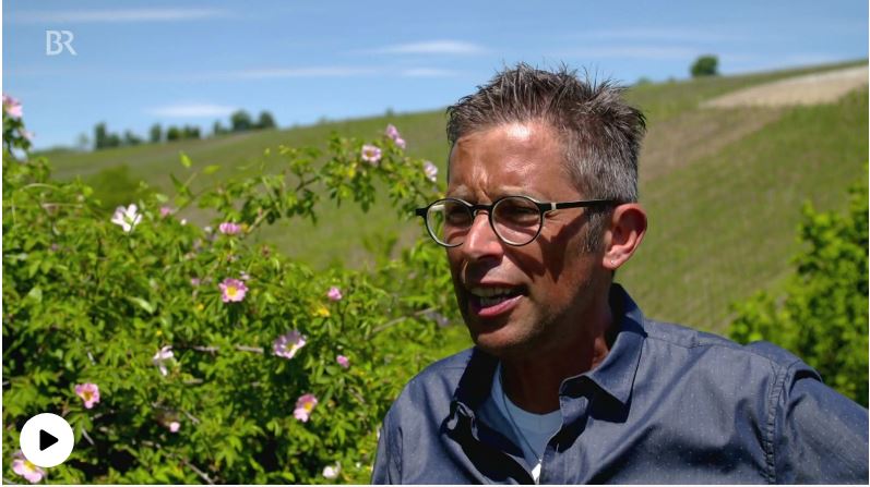 „Wir in Bayern“: Jetzt abstimmen für das Fränkische Weinland