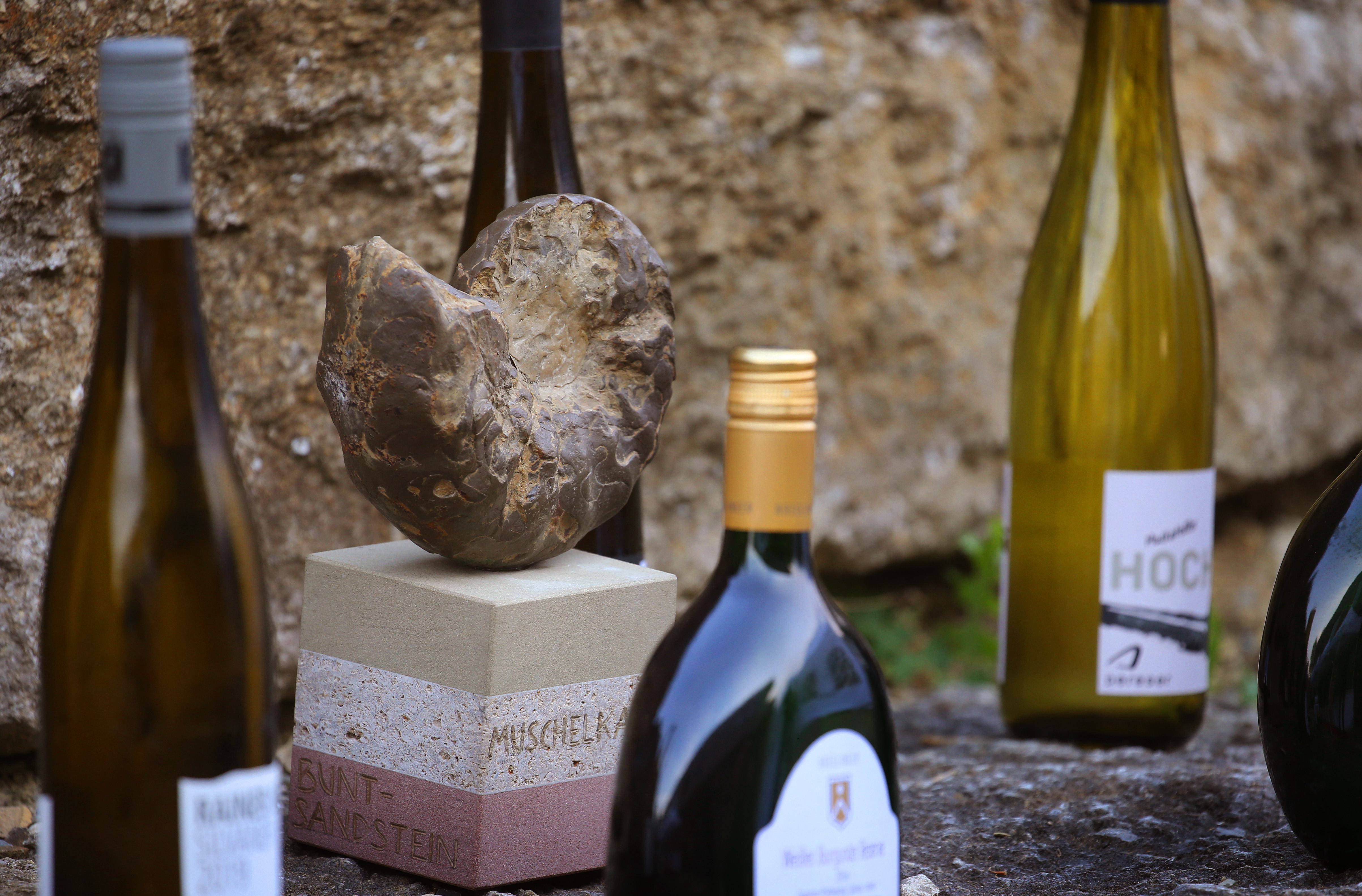 Best of Gold 2020: Die Siegerweine und Nominierten