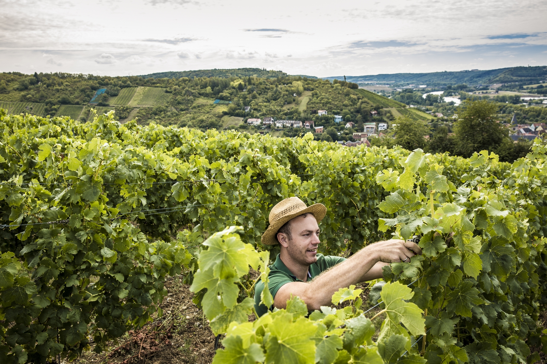 Virtueller Wochenendtrip zum Frankenwein mit Winzer Thomas Schenk