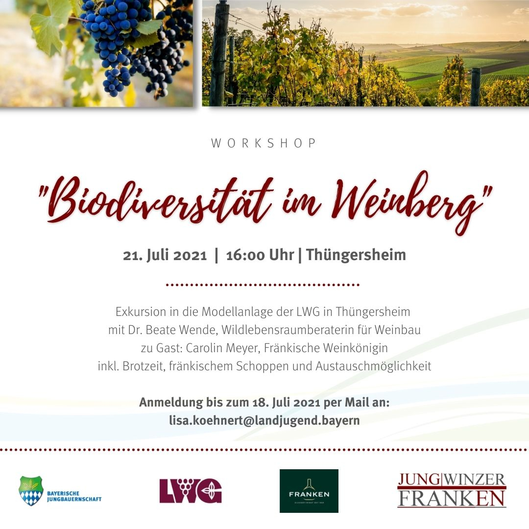 Jungwinzer Franken – Biodiversität im Weinberg 21.07.2021