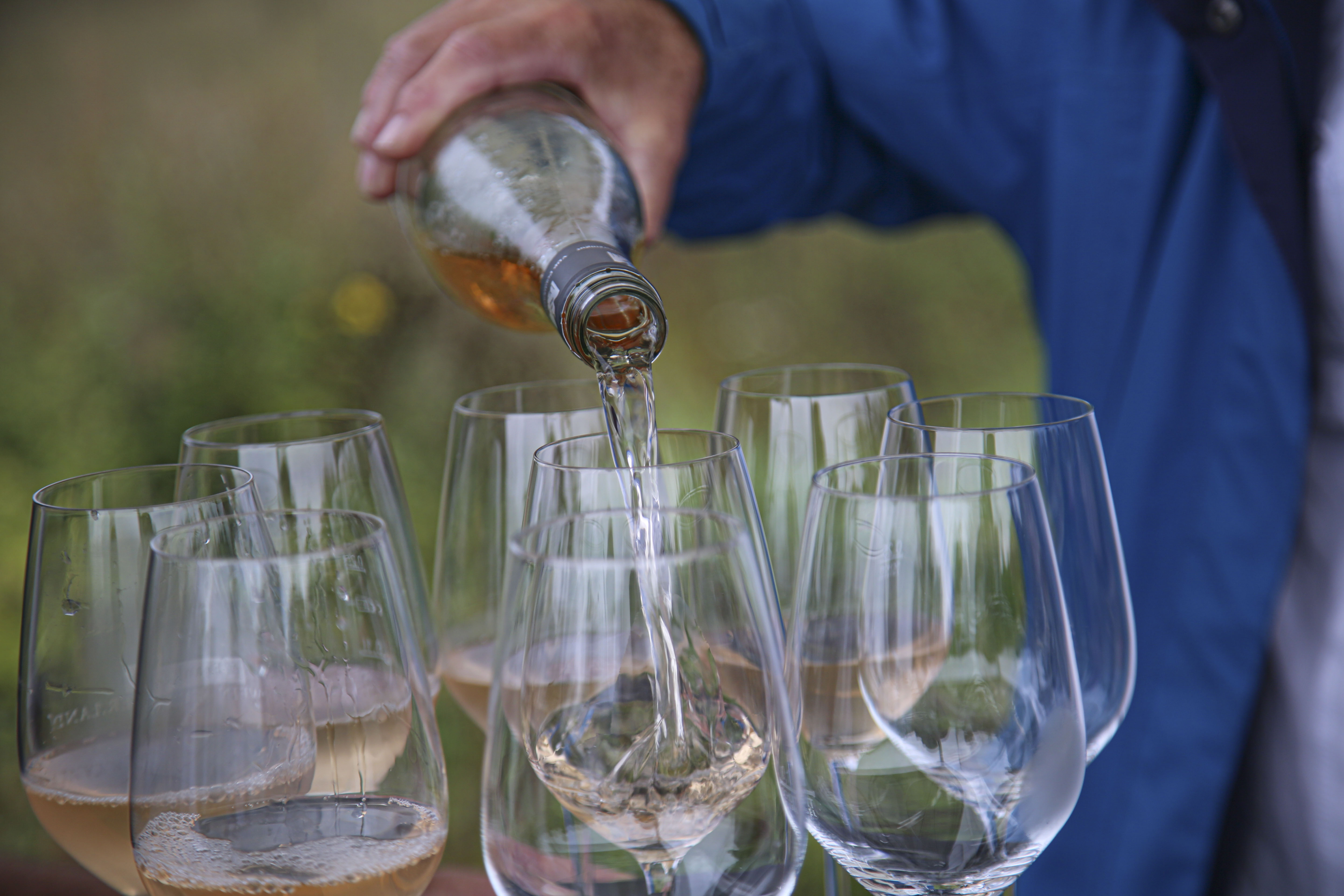 Arche des Geschmacks: Online-Verkostung Blauer Silvaner am 21. Oktober