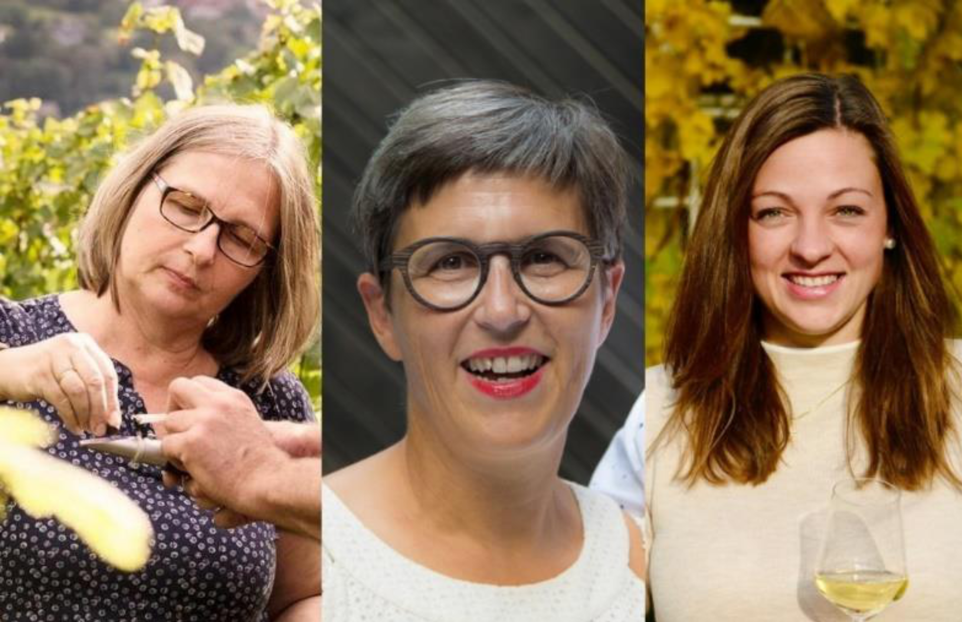 Wein-Frauenpower und fränkische Köstlichkeiten aus Churfranken – Mainschleife – Steigerwald