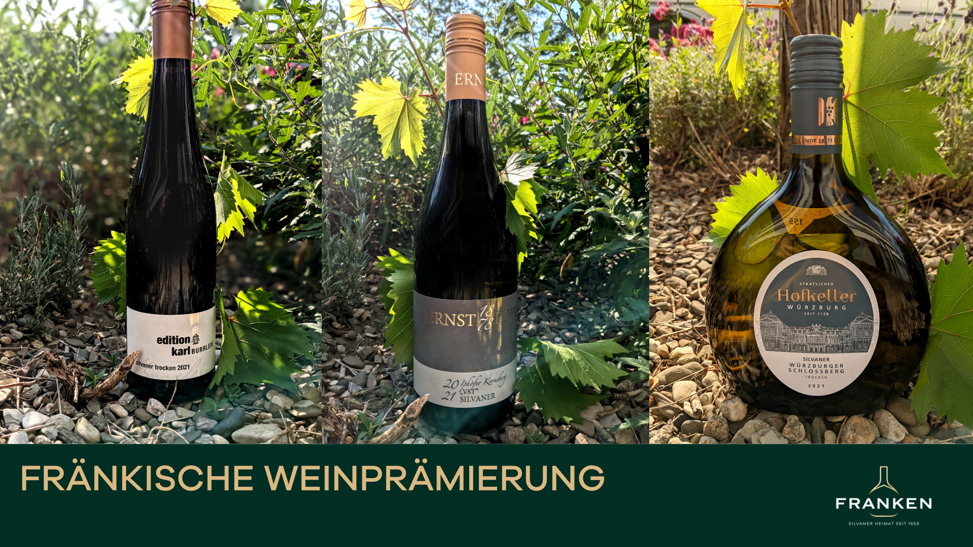 Sommer-Weintipps aus der Fränkischen Weinprämierung