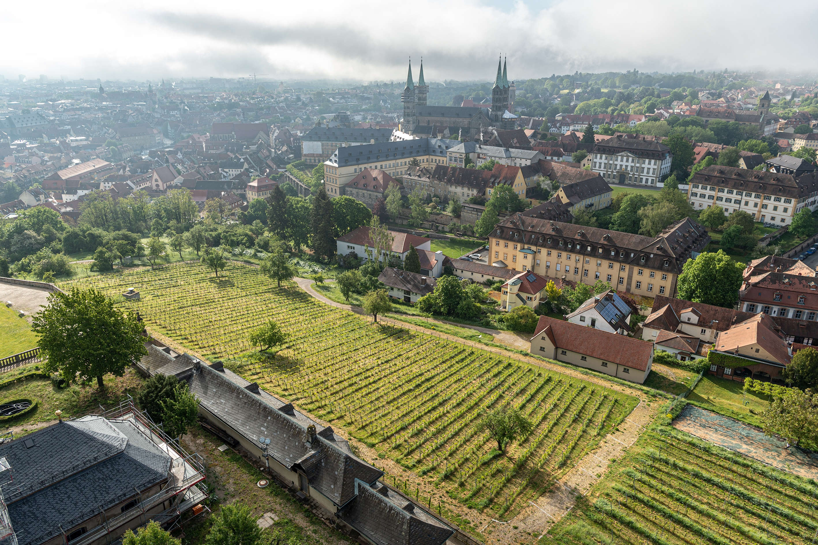 Bürgerspitalstiftung Bamberg sucht Winzer für Weinberg am Kloster Michaelsberg